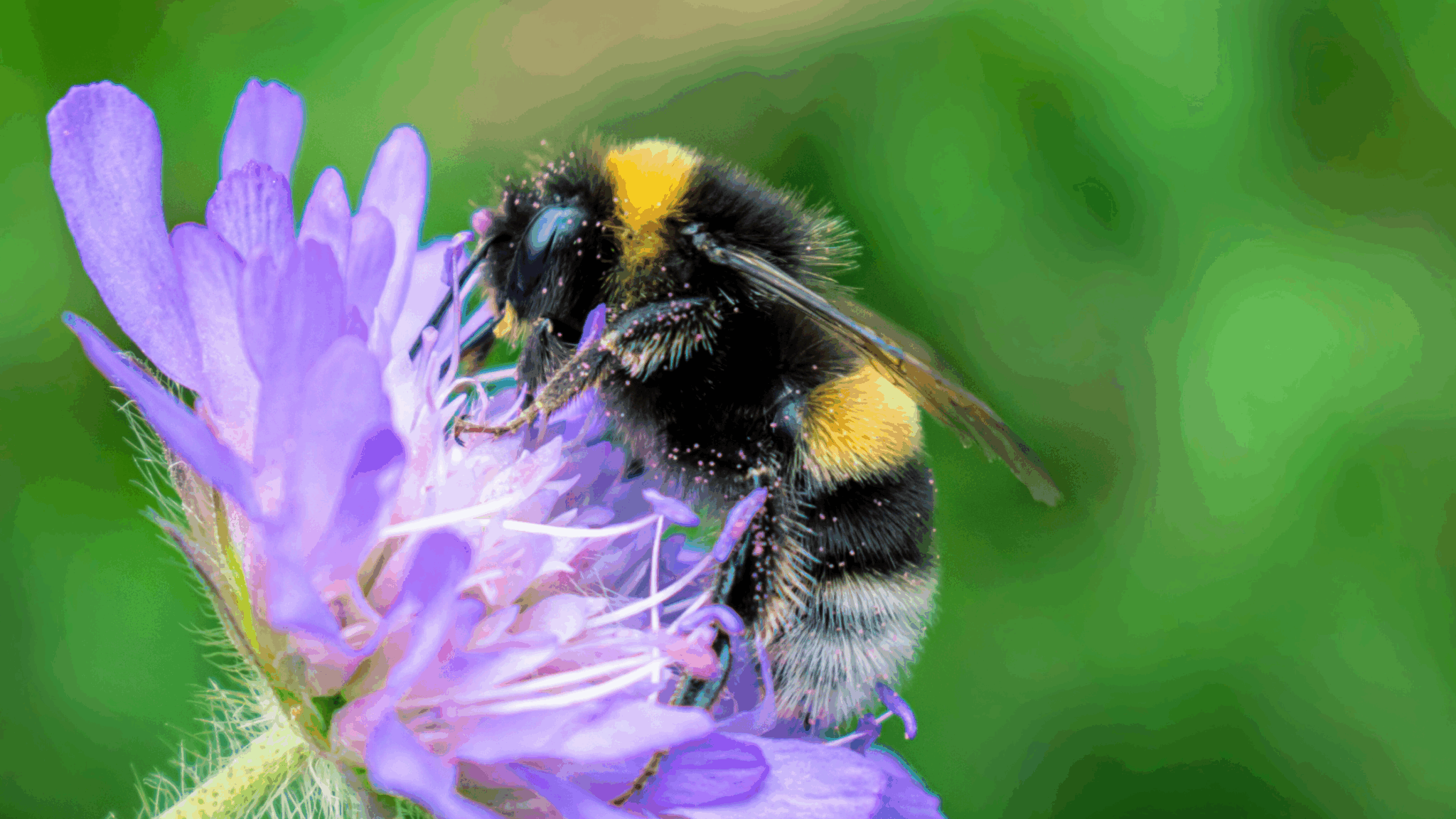 Talks, fairs, stargazing, hikes & hands-on workshops—Cambridge’s week of events blends science, nature, and community.