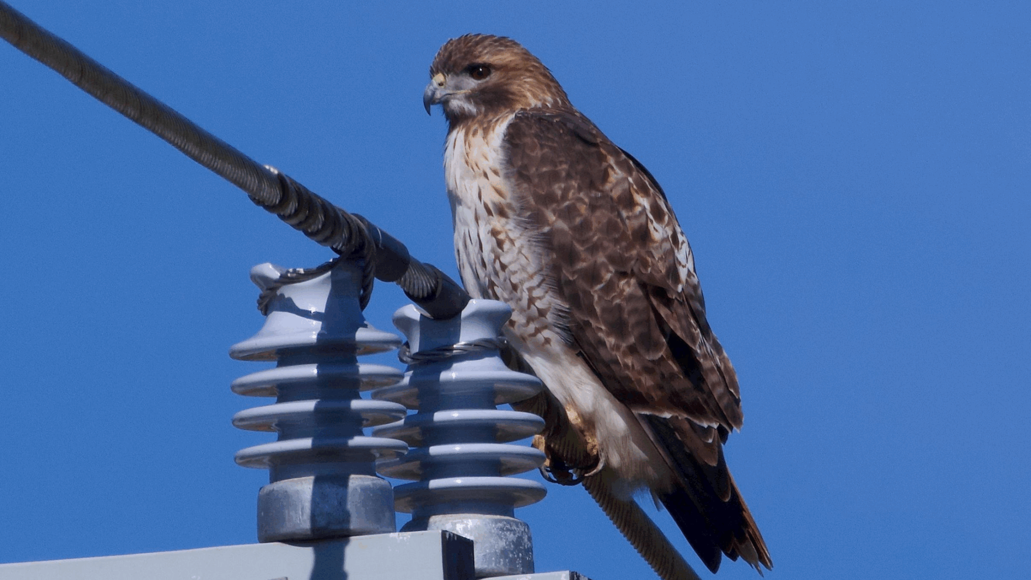 Bird walks, herb sales, and steampunk flair—spend a quirky spring weekend in Waltham, MA. Your guide to Watch City events, nature trails, local eats, and more.